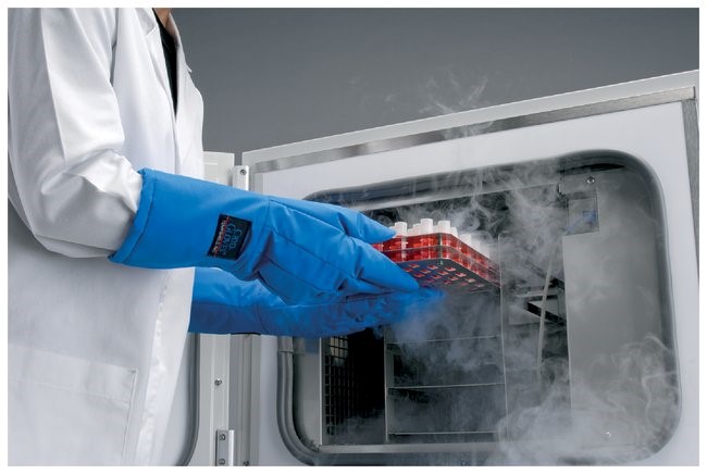//assets.thermofisher.com/TFS-Assets/LED/product-images/F71673~p.eps-650.jpg